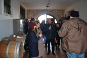 Degustazione Vini Valpolicella
