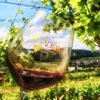 Amarone