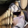 Is red wine good for you