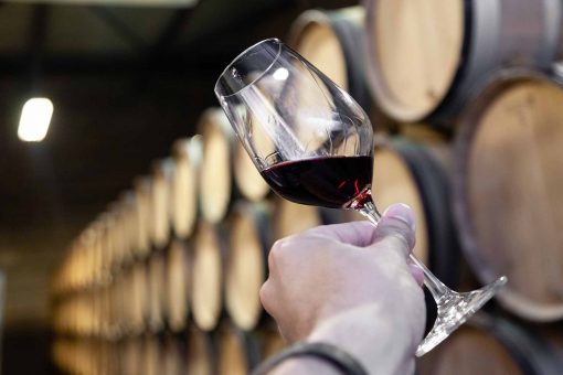 Is red wine good for you