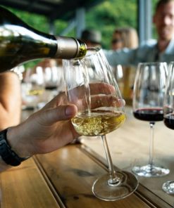Vogadori Experience: Degustazione Vini