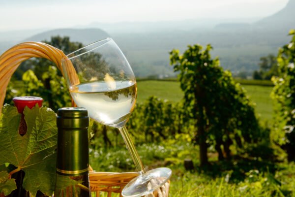 Italian white wine