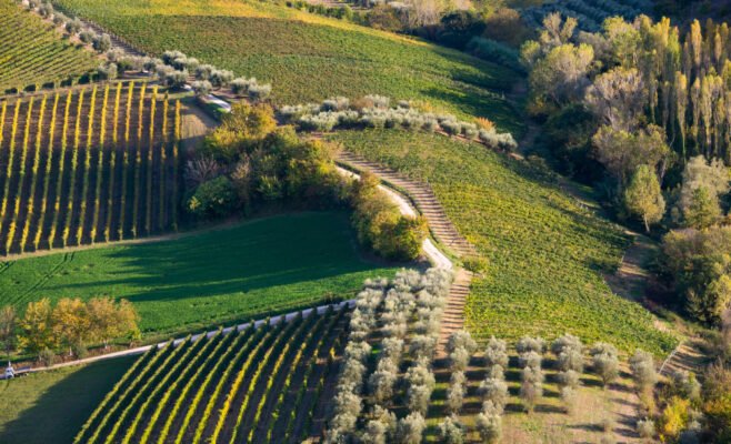 Italian wine regions