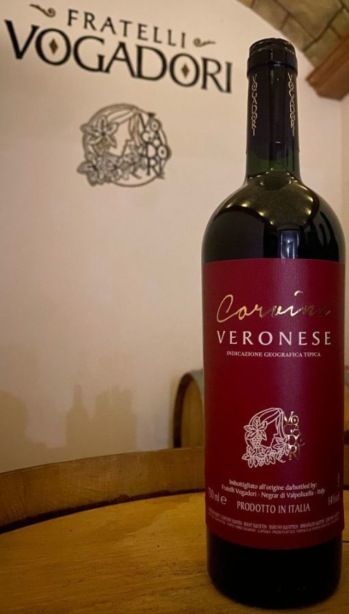 Corvina Veronese